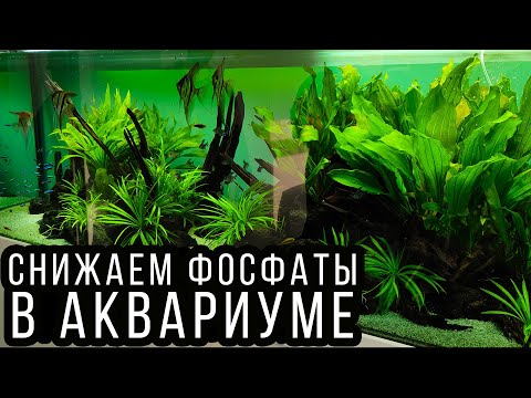 Видео: Как понизить фосфаты РО4 в аквариуме! Очень простой способ! 4К