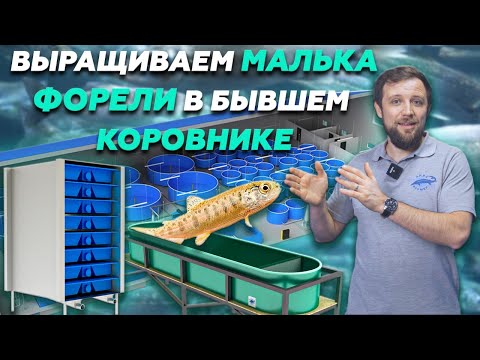Видео: Как Выращивать МАЛЬКА ФОРЕЛИ в старом КОРОВНИКЕ? | ОБЗОР МАЛЬКОВОЙ УЗВ