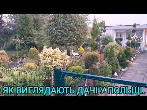 Видео: Як виглядають дачі у Польщі🌾🌹Поїхали до лісу🌲🍄#переїзддопольщі#оксанастесенко#якідачіупольщі#дача