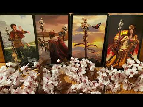 Видео: МОЩНАЯ ЧИСТКА от НЕГАТИВА 🙏АФФИРМАЦИИ на ДЕНЬГИ и ЛЮБОВЬ 😇💯Настройка Божественный Канал Розовый свет