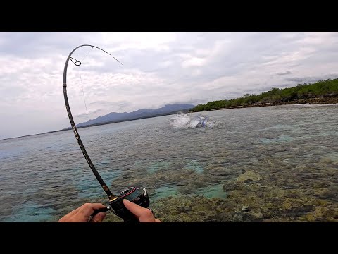 Видео: Только бы его вытащить┃Рыбалка на Бали