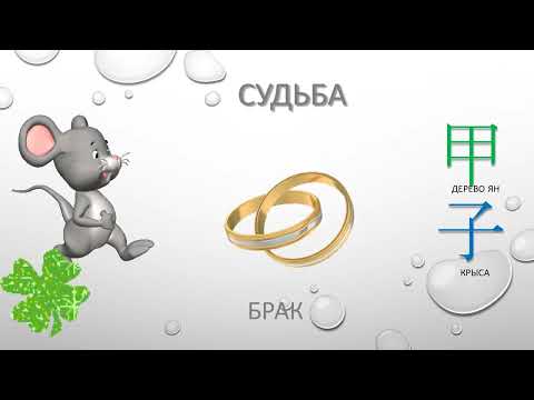 Видео: Судьба людей рожденных в 1924 - 1984г.