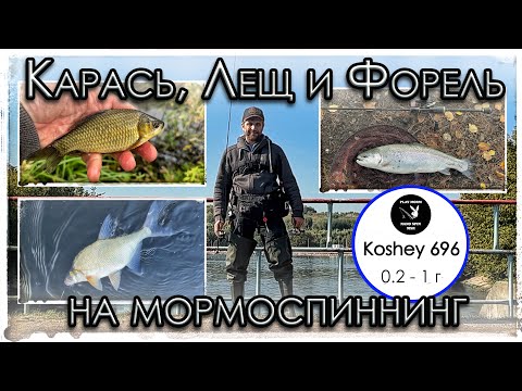 Видео: KOSHEY 696. Карась, Лещ и форель на мормоспиннинг. Мормышинг