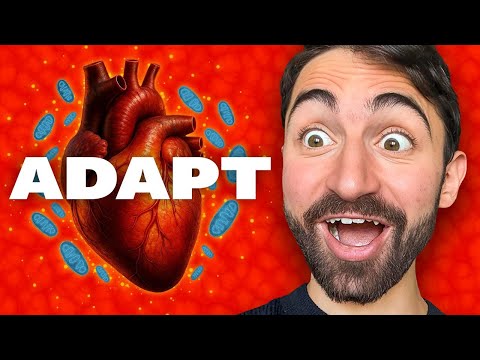 Видео: Потрясающее открытие о митохондриях и здоровье сердца