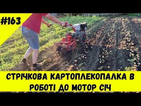 Видео: Стрічкова картоплекопалка в роботі до Мотор Січ