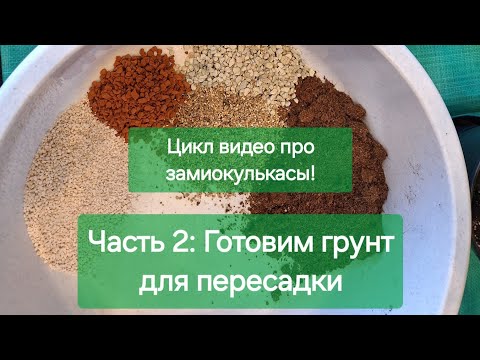 Видео: Замиокулькас.Ч.2: Готовим грунт для пересадки замиков