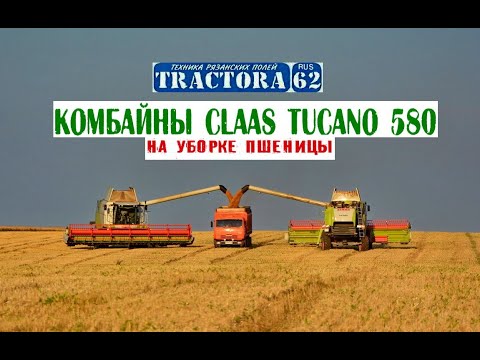 Видео: Комбайны CLAAS TUCANO 580 на уборке пшеницы