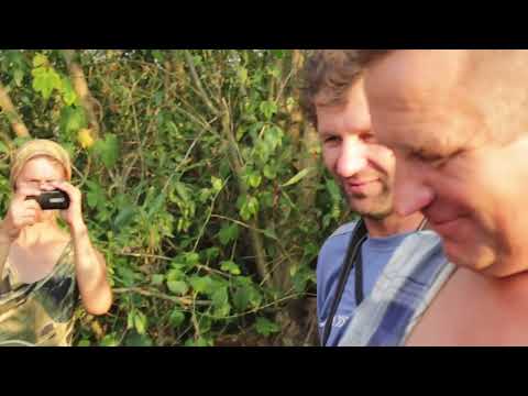 Видео: Тисячолітній човен- довбанка.Фільм третій  "Оглядини і припущення в голос"