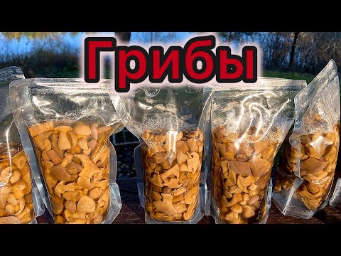 Видео: Грибы в автоклаве Нефор4