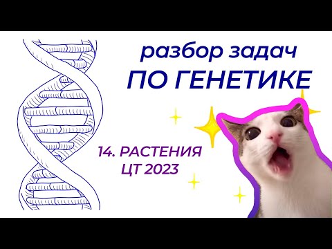 Видео: Разбор задачи по генетике из ЦТ 2023 года