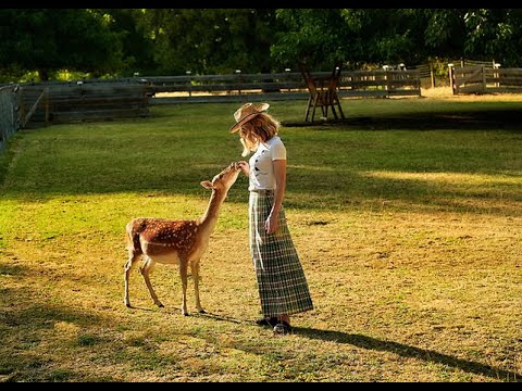 Видео: Един ден в био ферма "Розино"