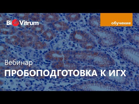 Видео: Лабораторная пробоподготовка при ИГХ