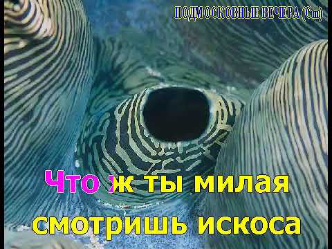 Видео: караоке подмосковные вечера dan   YouTube