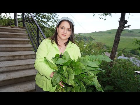 Видео: Այգուս ԱՎԵԼՈՒԿԸ ՔԱՂԵՑԻ ու Մի Լավ ՀՅՈՒՍ Կապեցի - Пойдём за Конским Щавелем - Как Собрать и Сушить