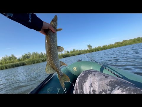 Видео: ПРИЕХАЛ НА НЕЗНАКОМЫЙ ВОДОЕМ И НАЛОВИЛ ЩУК! Рыбалка на спиннинг с лодки в июле