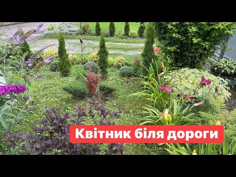 Видео: Створюю красу за парканом,просили-показую🌺