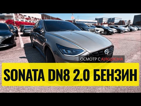 Видео: Hyundai Sonata DN8 бензин — проверка состояния | Почти как новый авто