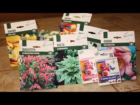 Видео: Как сохранить саженцы до весны?  Помогут биопрепараты!