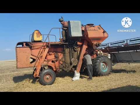 Видео: Жизнь в селе#Казахстан#Заканчиваем уборку.