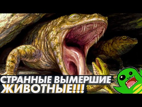 Видео: СТРАННЫЕ ВЫМЕРШИЕ ЖИВОТНЫЕ: змея с четырьмя ногами, лягушка-крокодил и новая попытка сухопутности