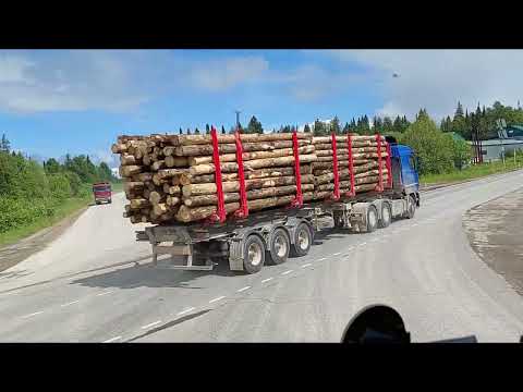 Видео: ЧЕРНУШКА, БОГОРОДСК, ШЛЯПНИКИ, ОРДА