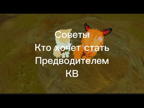 Видео: Как быть Предводителем чтобы не обзывали сью? Всё Расскажу