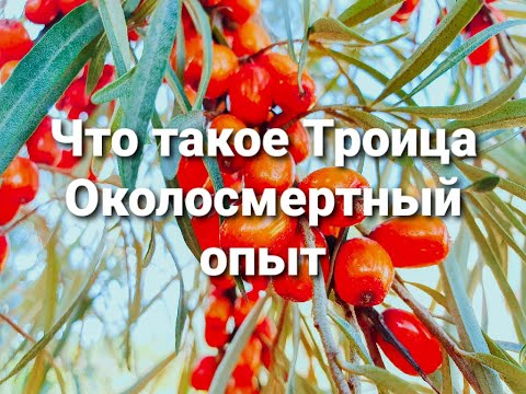 Видео: Что такое Троица Околосмертный опыт