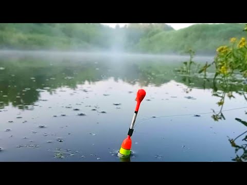 Видео: ВЕСЕННИЙ КАРАСЬ НА ПОПЛАВОЧНУЮ УДОЧКУ