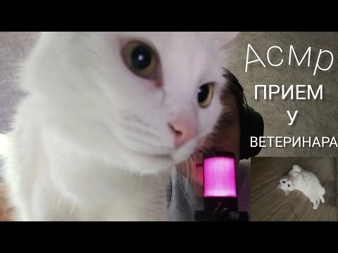 Видео: АСМР РОЛЕВАЯ ИГРА | ПРИЕМ У ВЕТЕРИНАРА | КОЛЛАБ С @nevrologsoldatov