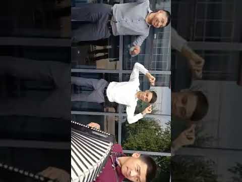 Видео: Толойкон 1998дер араван,