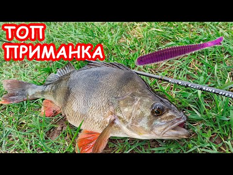 Видео: НОВАЯ ПРИМАНКА ДЛЯ МИКРОДЖИГА. ЩУКА И ОКУНЬ НА СПИННИНГ
