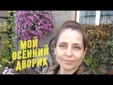 Видео: ОСЕННИЙ ДВОРИК. ЧТО ЕЩЕ ЦВЕТЕТ, А ЧТО УЖЕ МОЖНО В КОМПОСТ?
