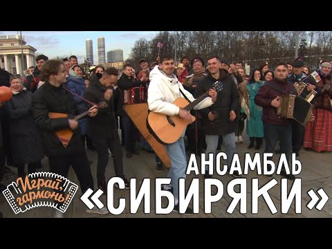 Видео: Дед | Ансамбль «Сибиряки» (г. Новосибирск) | Играй, гармонь!