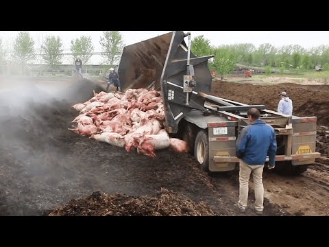 Видео: Такой Сельхозтехники Ты Точно Ещё Не Видел. Это Просто Шок!!!