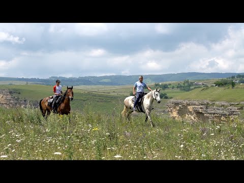 Видео: Источник вдохновения