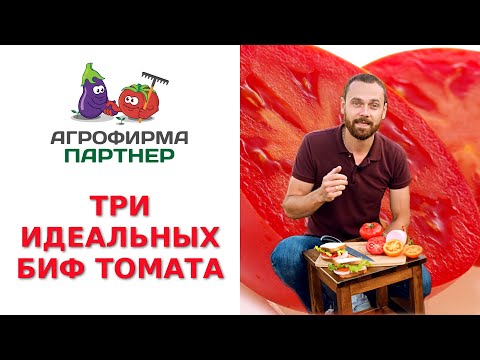 Видео: ТРИ ИДЕАЛЬНЫХ БИФ-ТОМАТА