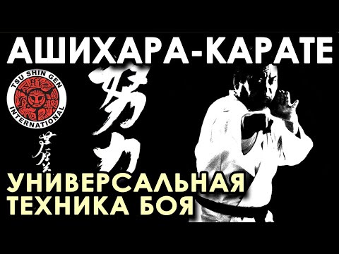 Видео: АШИХАРА-КАРАТЕ – универсальная техника БОЯ.