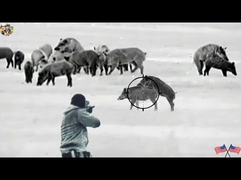 Видео: Ночная охота на кабанов с тепловизором — точный выстрел, мгновенная ликвидация!