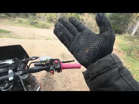 Видео: 3 октября 2025 г.