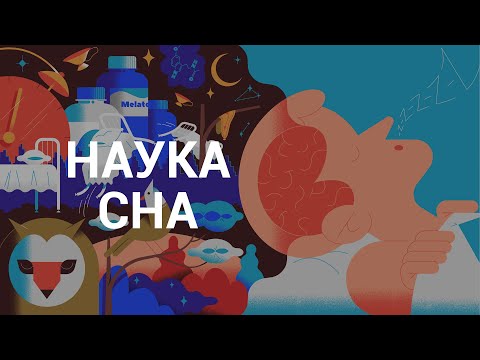 Видео: Наука сна — курс Михаила Полуэктова / ПостНаука