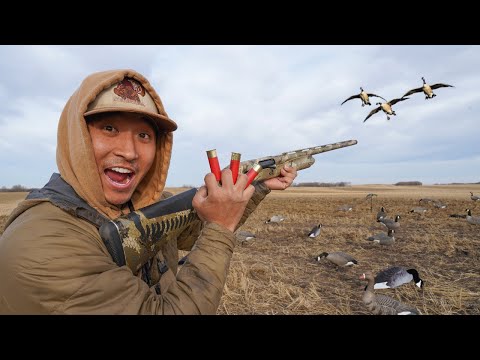 Видео: Охота с НОВЫМИ медными патронами для дробовика! (ПОЙМАЙТЕ ЧИСТУЮ ПИЩУ)