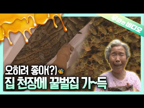 Видео: Я заплачу за аренду медом 🍯