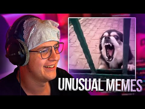 Видео: Пятёрка смотрит - UNUSUAL MEMES COMPILATION V137| Нарезка стрима ФУГА TV