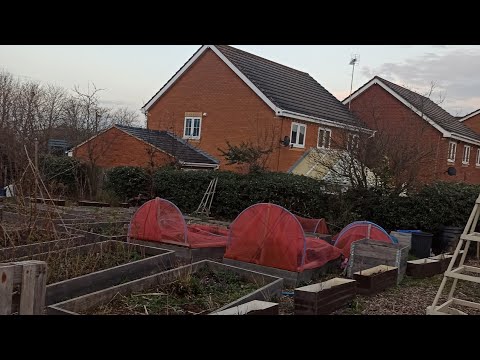 Видео: Моя дачка в Англії 🌱🌱🌱