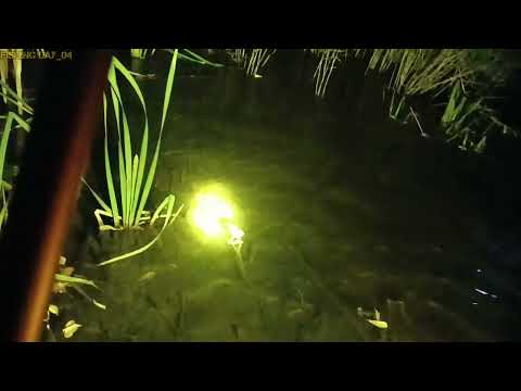 Видео: обитатели реки Каргала. Рыбы совсем мало(( Актобе рыбалка