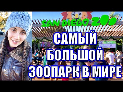Видео: США 🇺🇸 САМЫЙ БОЛЬШОЙ ЗООПАРК В МИРЕ SAN DIEGO ZOO