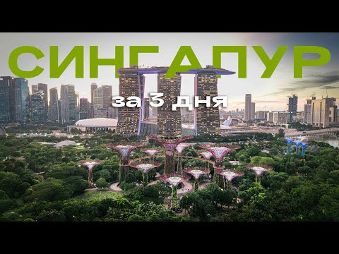 Видео: Сингапур за 3 дня: гид по мегаполису будущего, уличной еде и традициям Азии / Урбанистика и штрафы