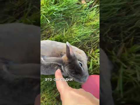 Видео: 4 ноября 2025 г.