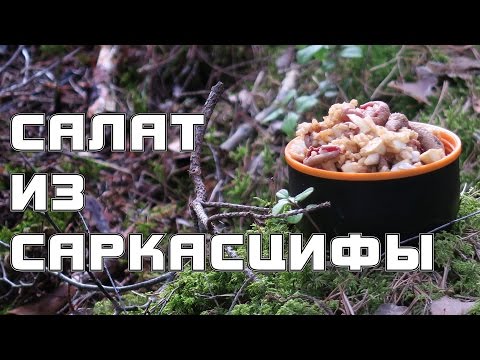 Видео: Салат из саркосцифы алой