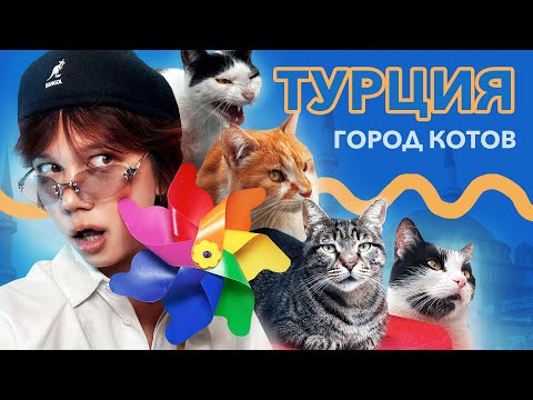 Видео: VLOG: ТУРЦИЯ \\\ МНОГО КОТОВ, КОФЕ И ВАЙБА